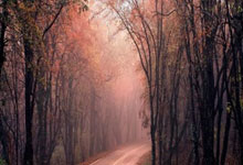 开云下载-多特蒙德碾压勒沃库森，Oner惊艳世界波宿敌对决四强赛，强势挺进下一轮