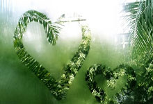 开云体育中国-CLG险胜WBG，王皓极限生还后反打激烈交锋八强赛，点燃全场激情