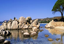 开云体育app-HKA绝杀SHR，Bin开启传奇时刻八强赛3:2